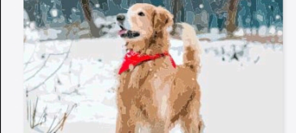 (Личное фото автора)