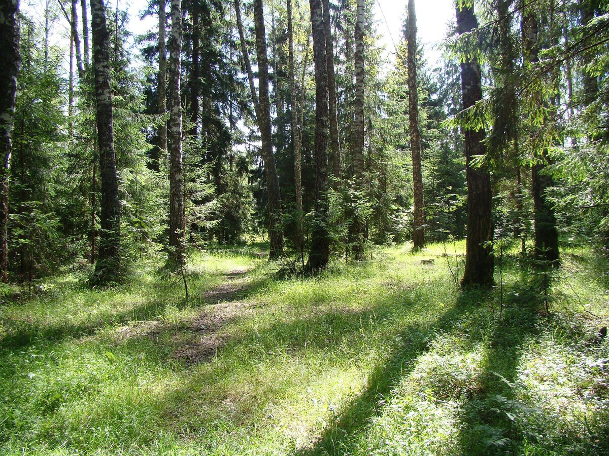 Просто пейзажи.Фото автора.