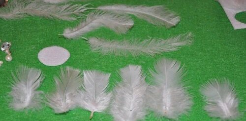 Источник: Картинка взята из общего пользования.