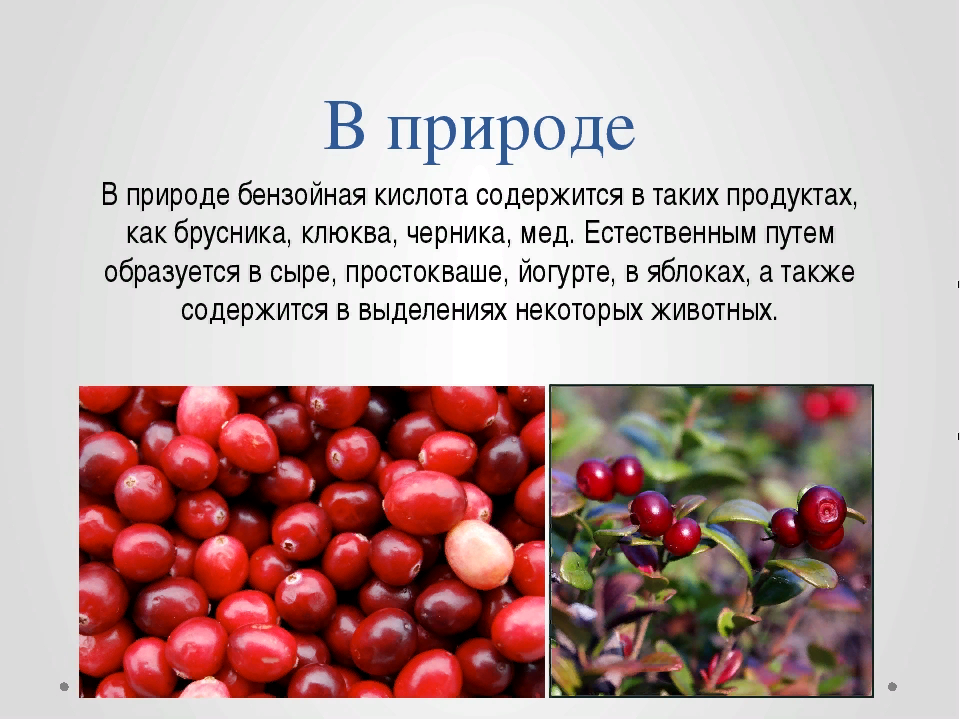 Ягода содержащая. Бензойная кислота в природе. Бензойная кислота в клюкве. Клюква и брусника. Бензойная кислота нахождение в природе.