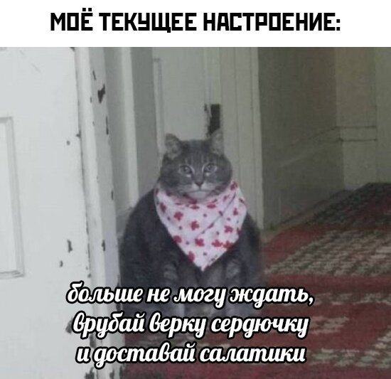 Смешные картинки и мемы