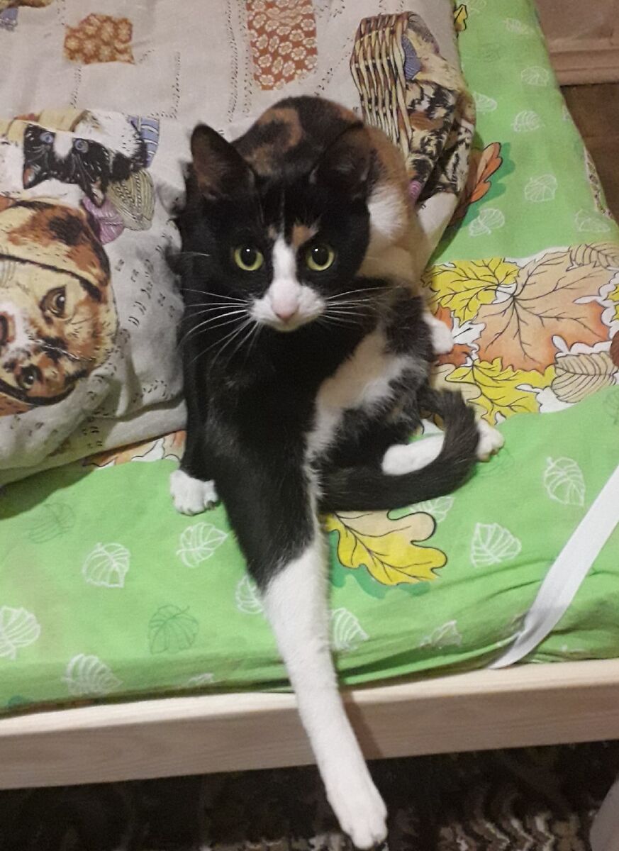 "Не ожидала"