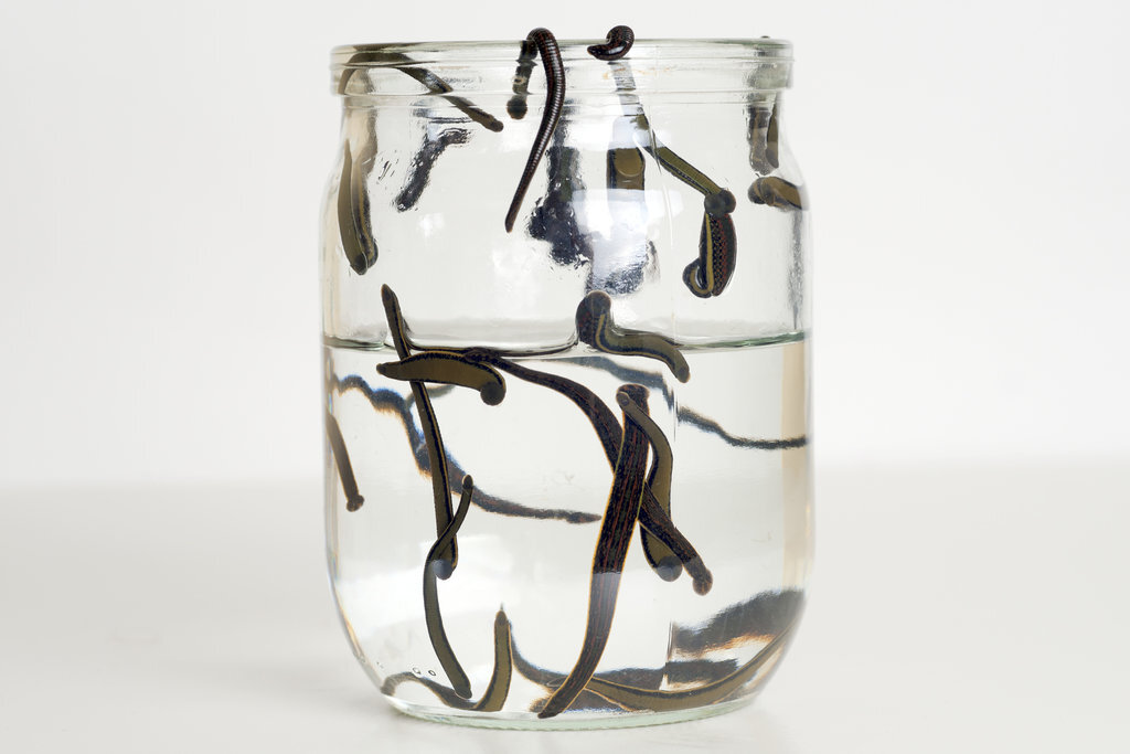 Изображение взято с images.google.com. Примерно такую картину я наблюдала в кабинете гинеколога из грязелечебницы.