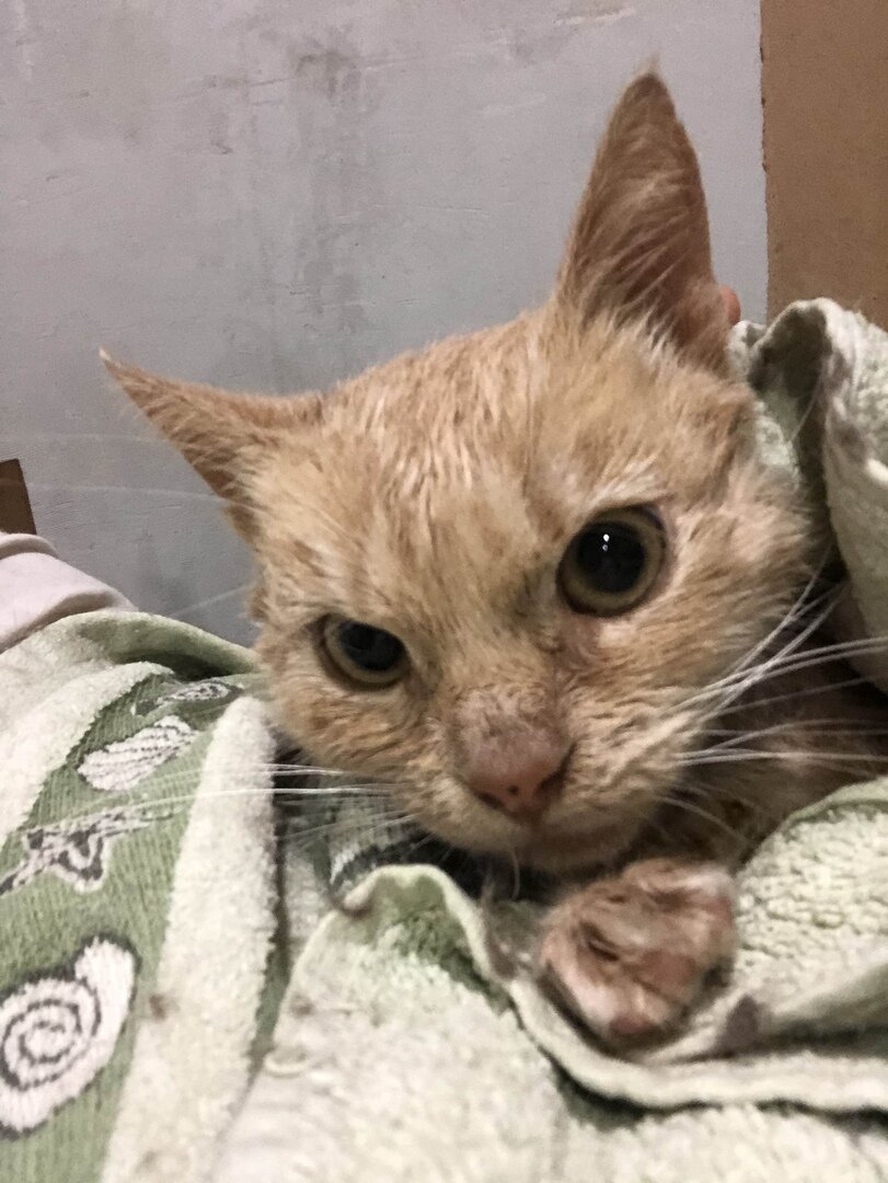 После ванны у меня дома