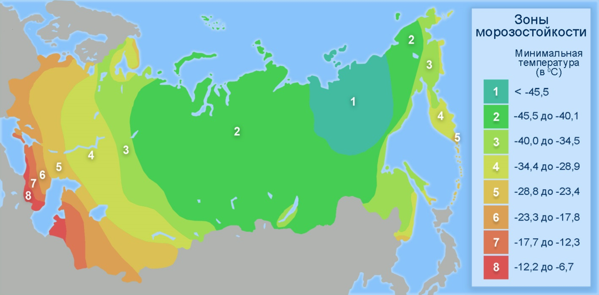 Любом климатической зоне. Карта зон морозостойкости растений в России. 6 Климатическая зона России. Климатические зоны России USDA 1 2 3 4 5 6. Зоны зимостойкости растений России на карте.