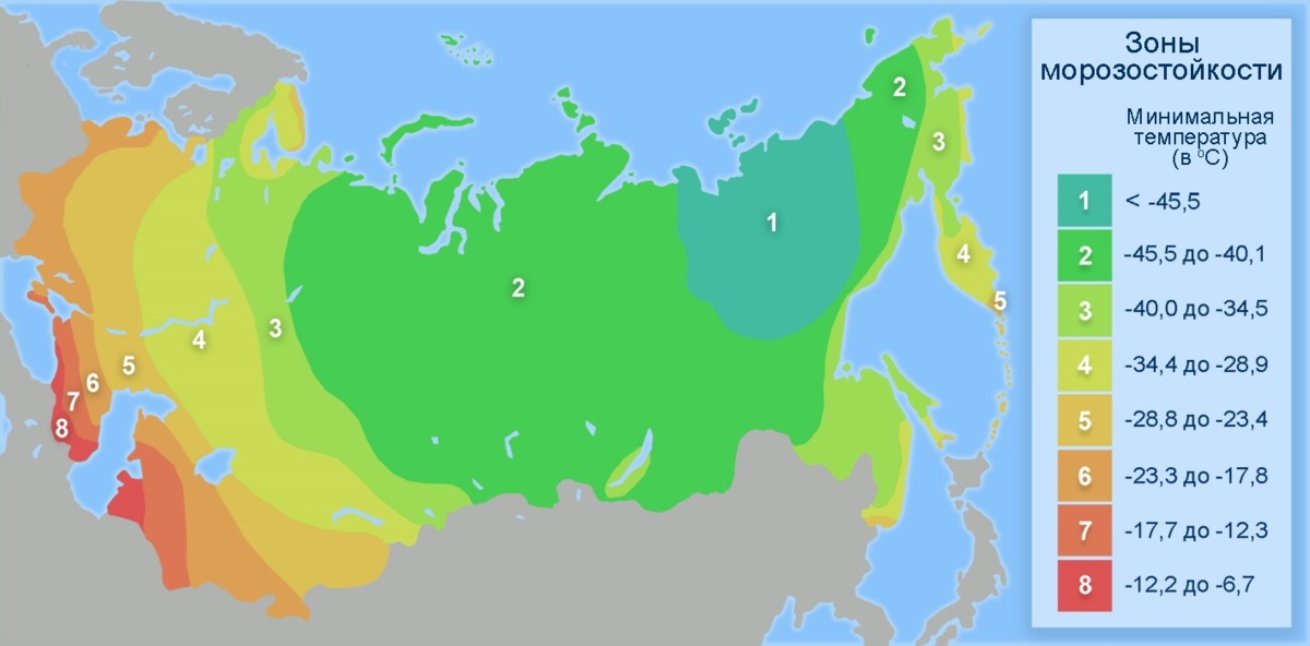 Любом климатической зоне