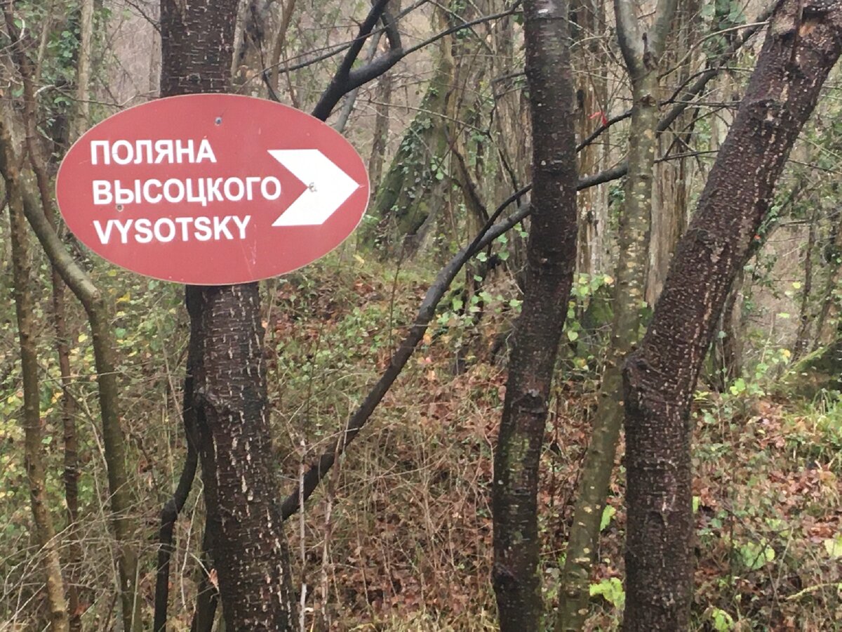 Фото:моё 