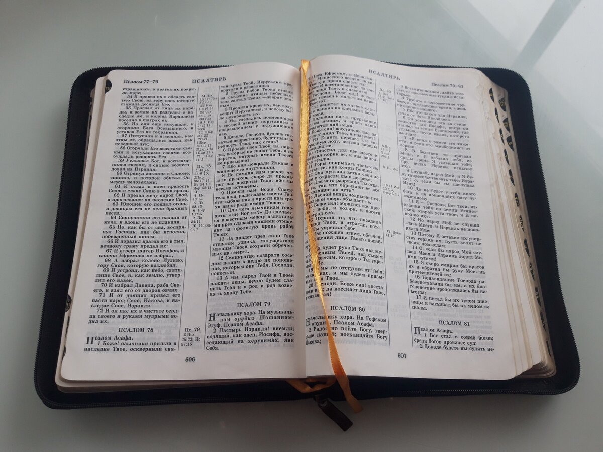 фото автор.