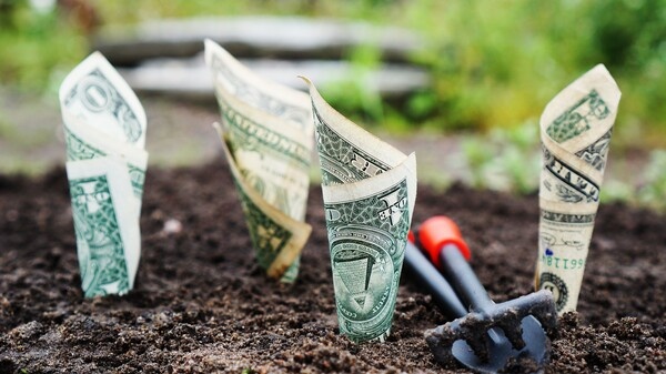 Фото взято из открытого источника.