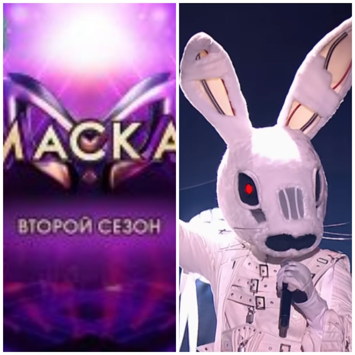 Харизматичный заяц