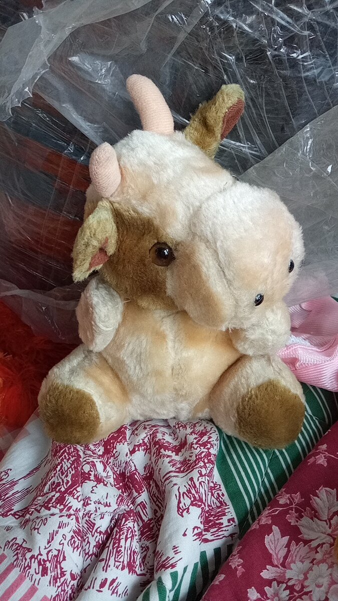 Нашла свою детскую игрушку