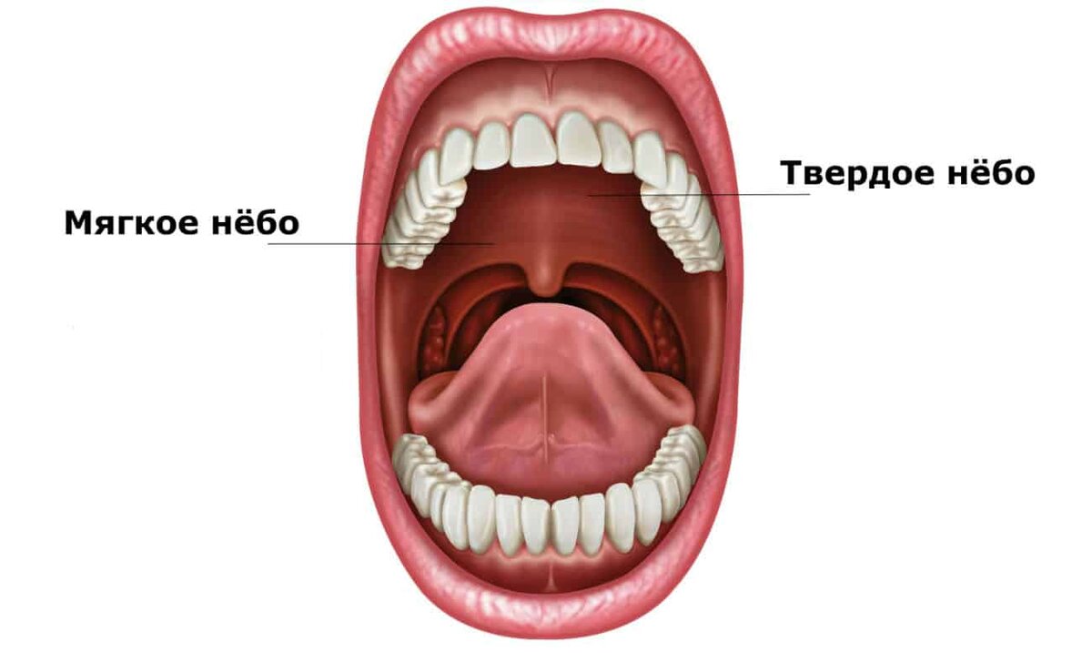 Мягкое небо поднимается