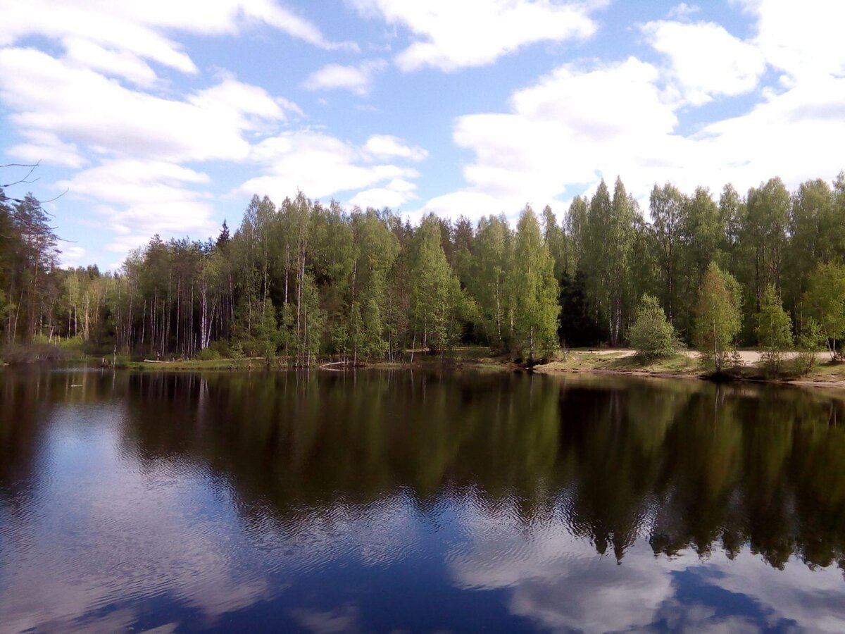 zen.yandex.ru