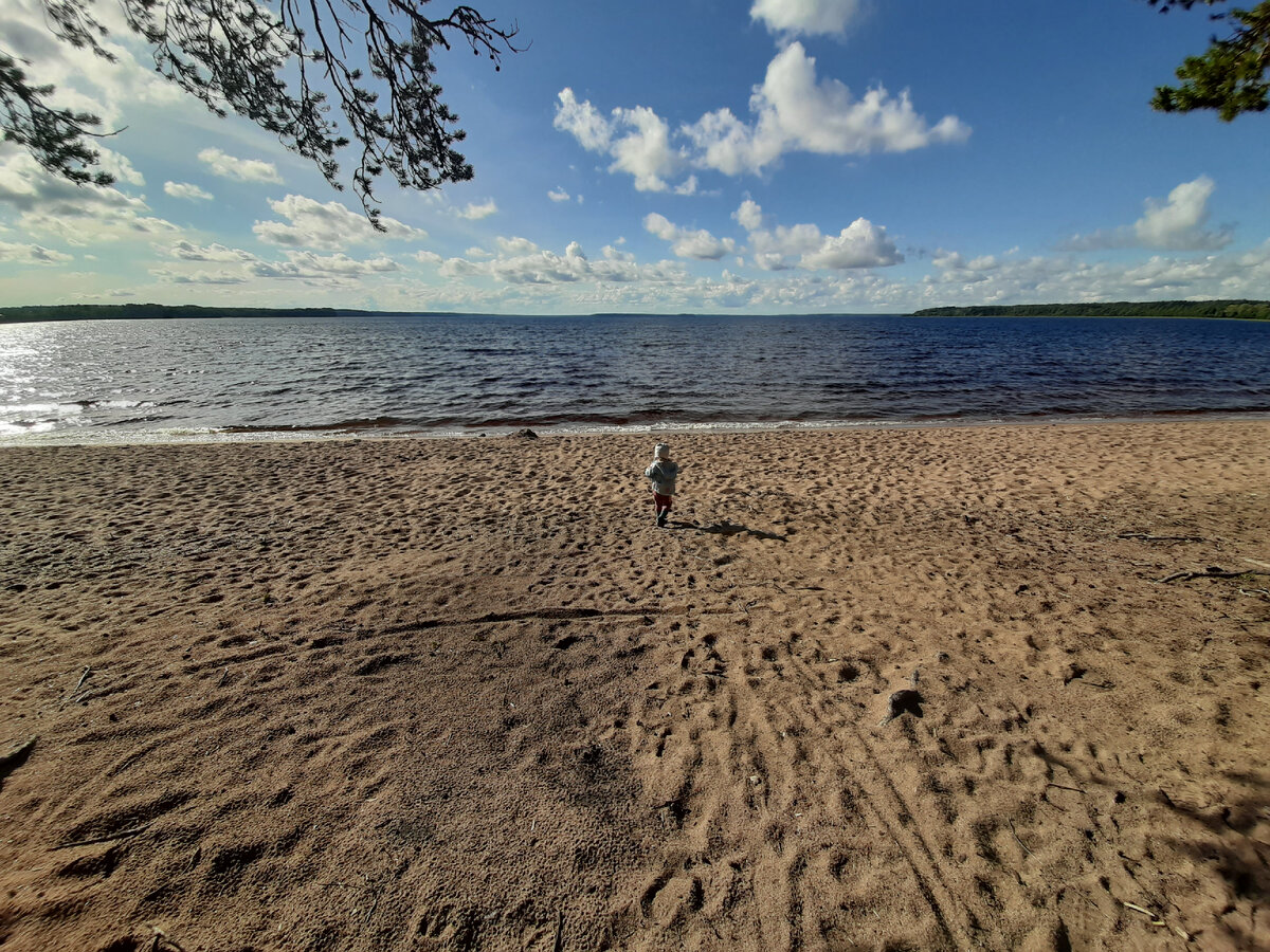 Даже в трудную минуту, когда ты остался один, друзья где-то рядом :)