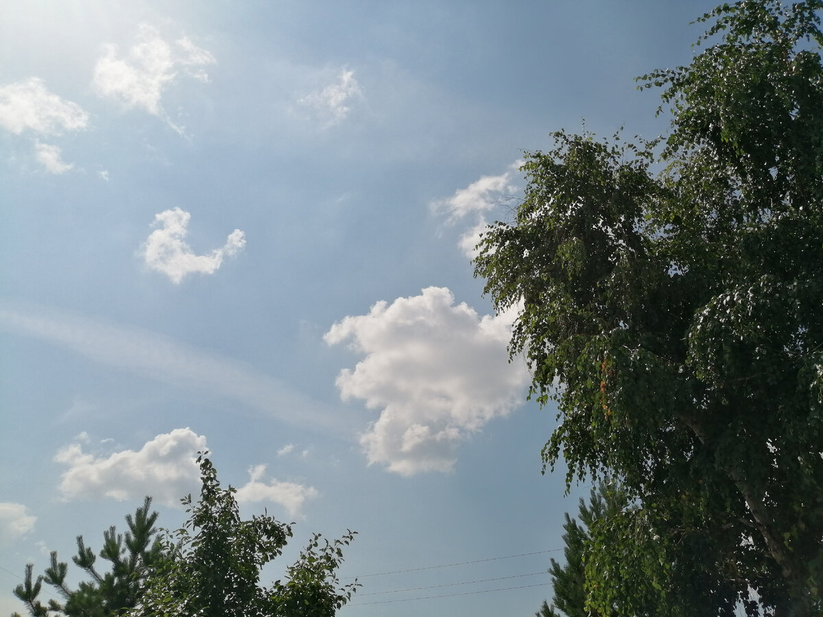 Фото из личной коллекции