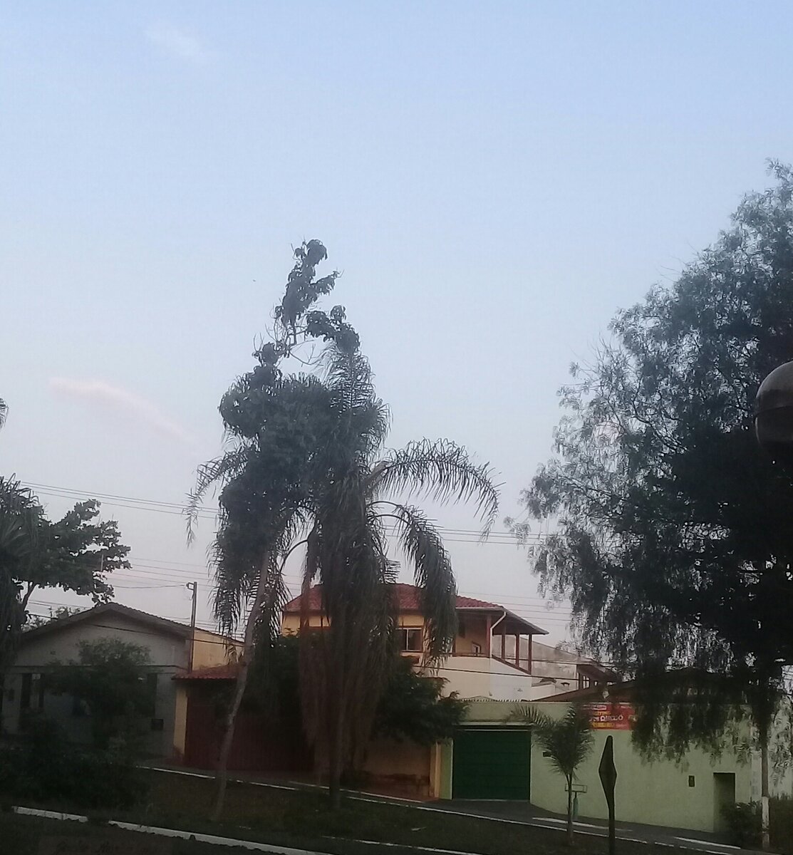 Бразилия. Фото автора.