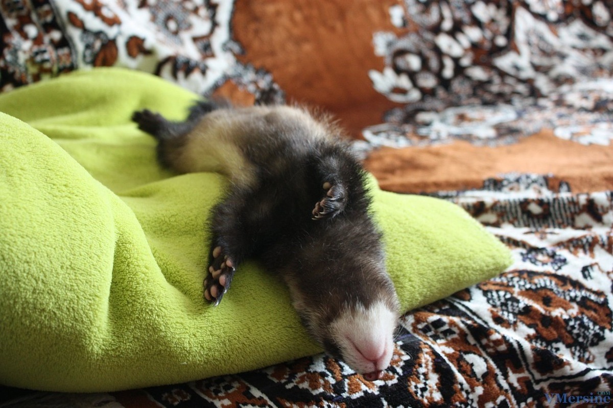 Вот как-то так)