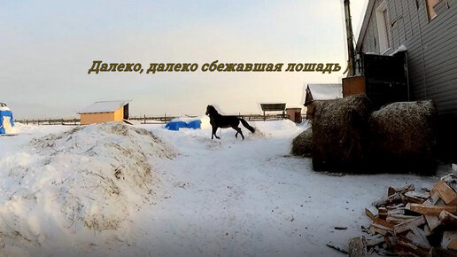 Далеко далеко убежала в поле песня. Село Долговка взгляд изнутри.