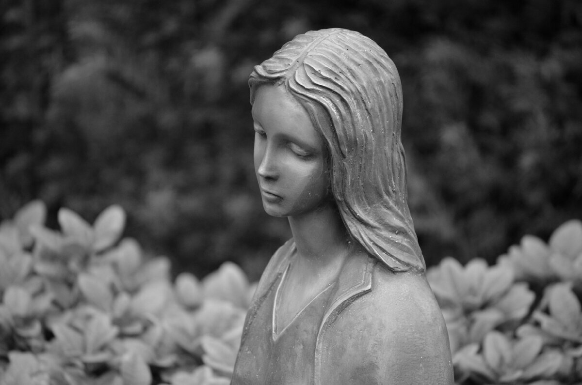 Добавьте описание