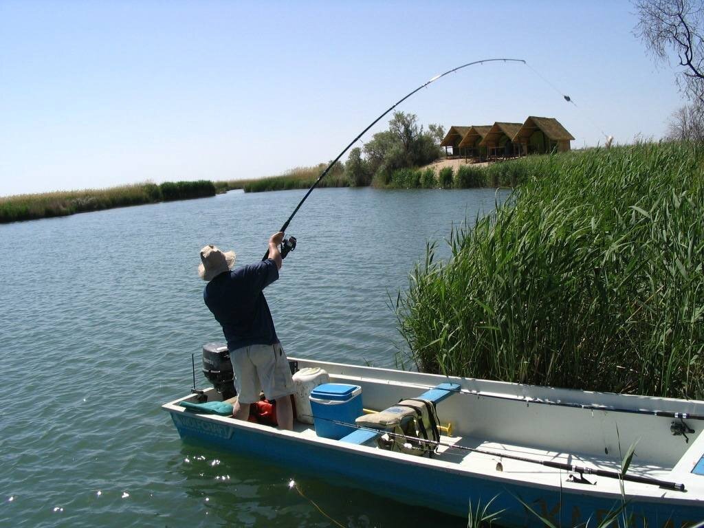 Рыбалка в Казахстане. Фото из открытых источников "Яндекс картинки"