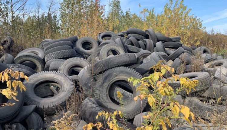 Фото: tulapressa.ru