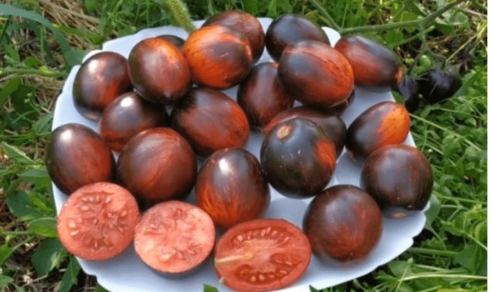 Гаргамель описание сорта. Гаргамель томат черри. Сорт томатов гаргамель. Сорт помидор гаргамель. Гаргамель описание сорта.