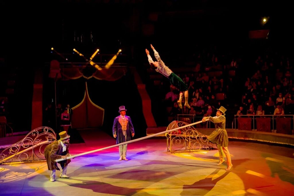 Ведущий в цирке