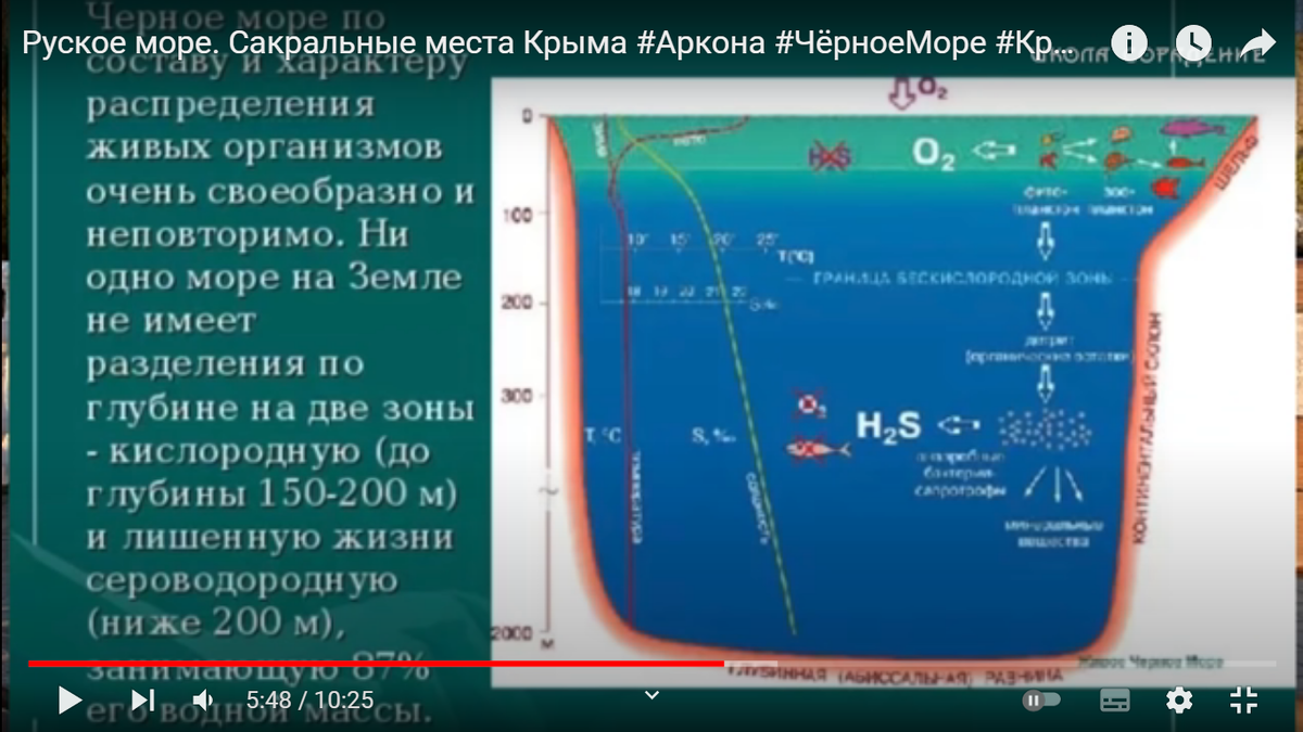 Скрин видео