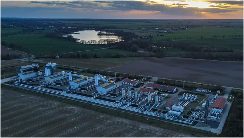 Фото: Global Look Press/ZB/Patrick Pleul