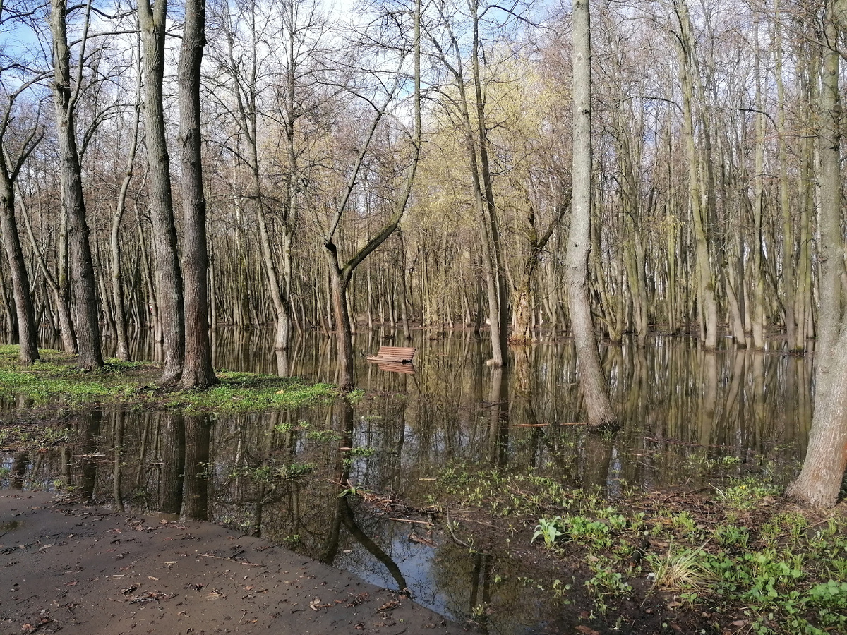 Лавочки еще по плечики в воде