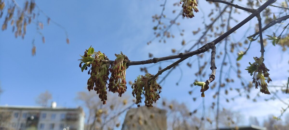 Весеннее