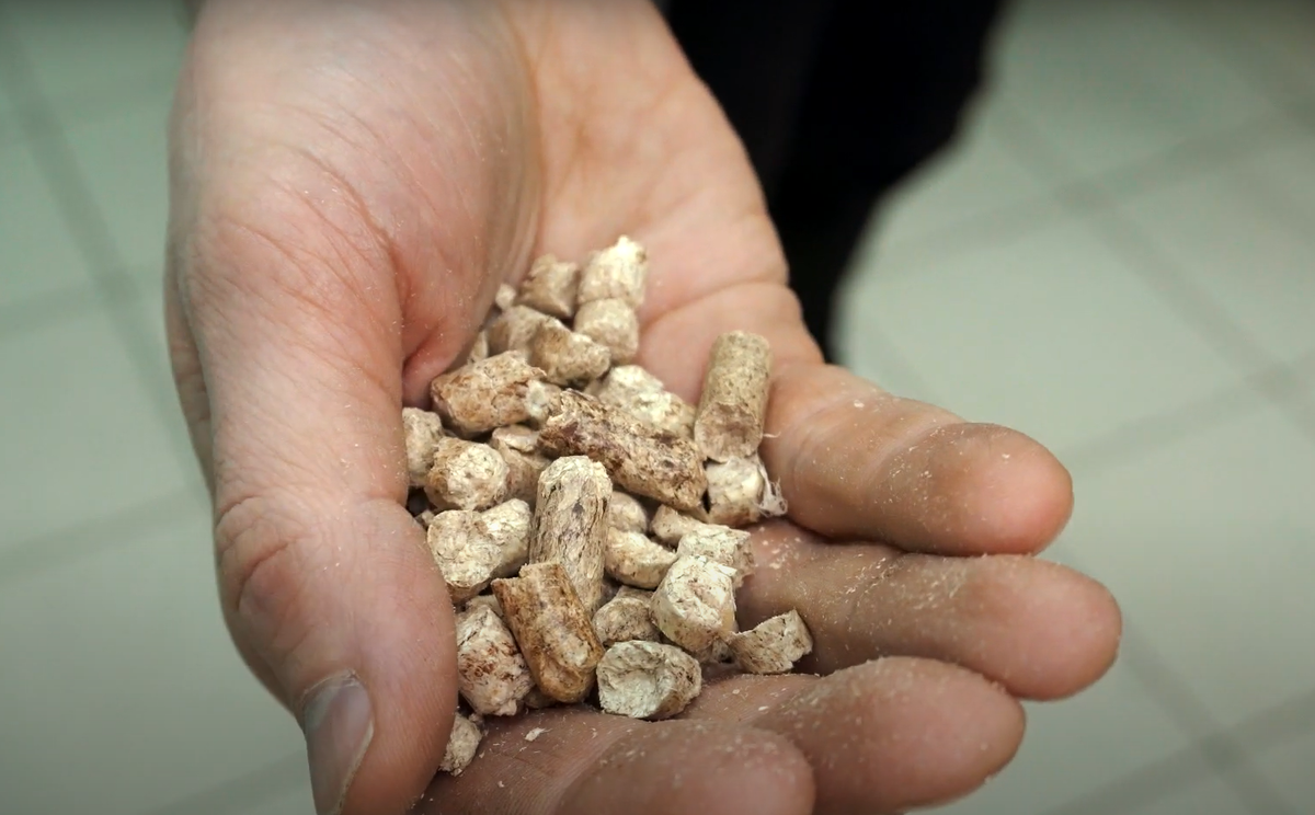 Так выглядят пеллеты