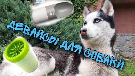 Videos Лапомойка для собак Paw Plunger | гибдд-медкомиссия.рф