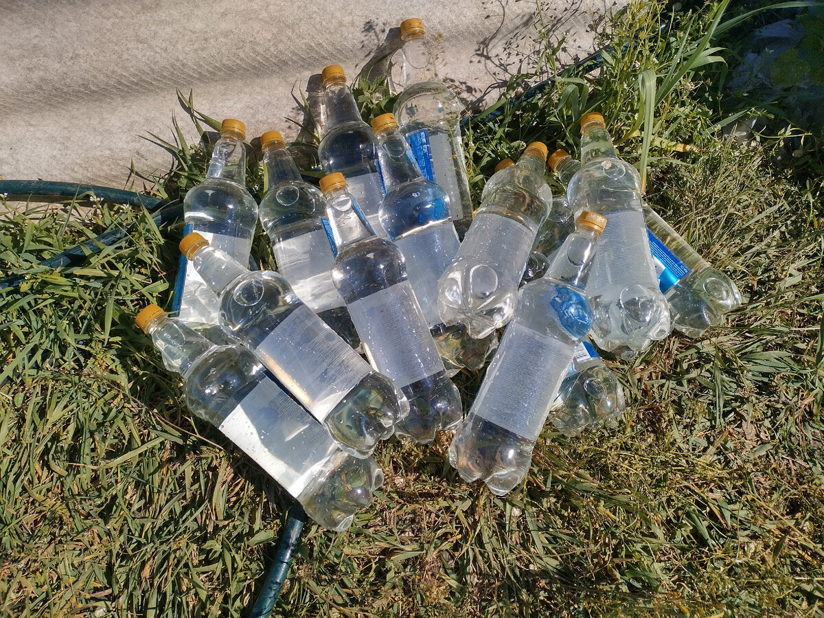 И много-много светлых...