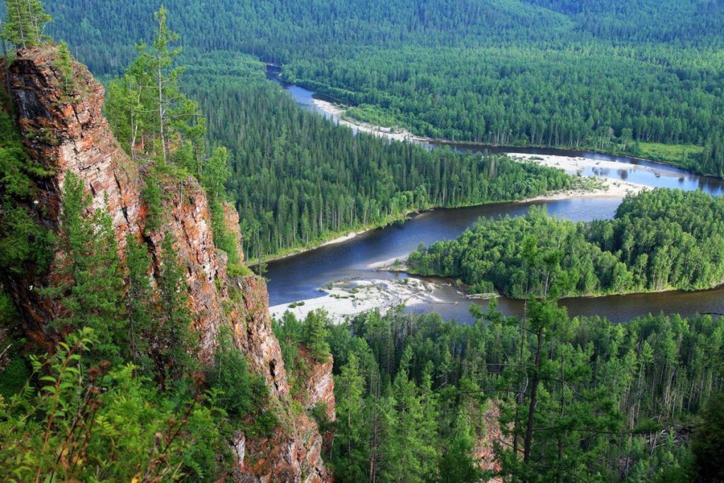 Сибирская тайга, иллюстративное фото из интернета