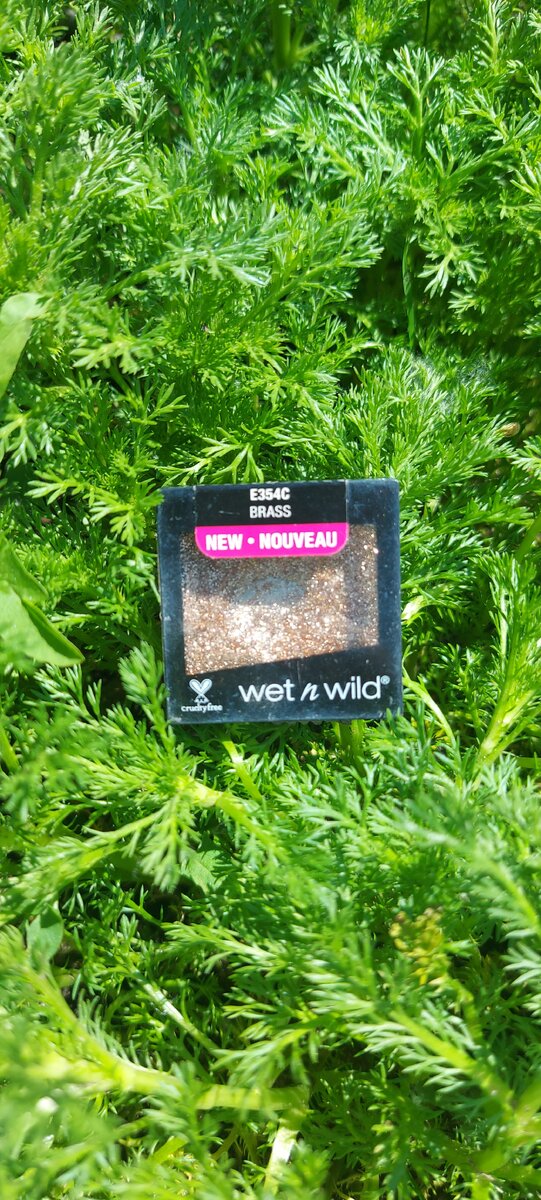Одни из неудачных теней Wet n Wild
