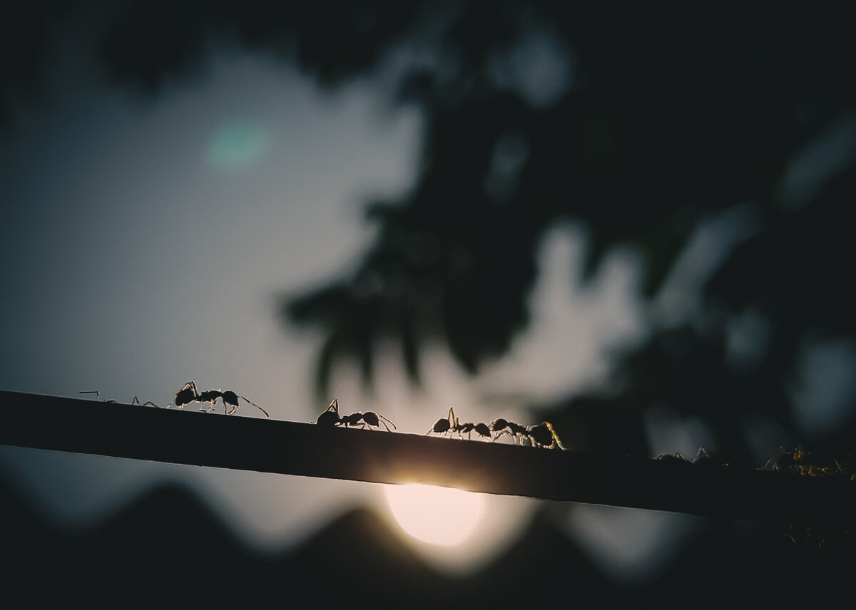 Фото: Prabir Kashyap / Unsplash