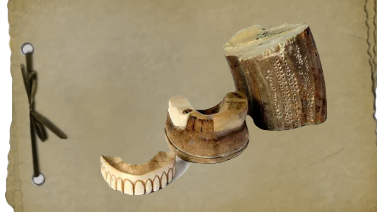 Зубы из слоговой кости