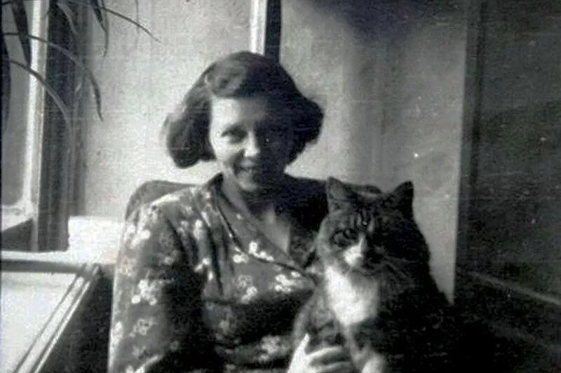     Он прошел через 872 дня блокады Ленинграда и выжил: удивительная история кота Максима