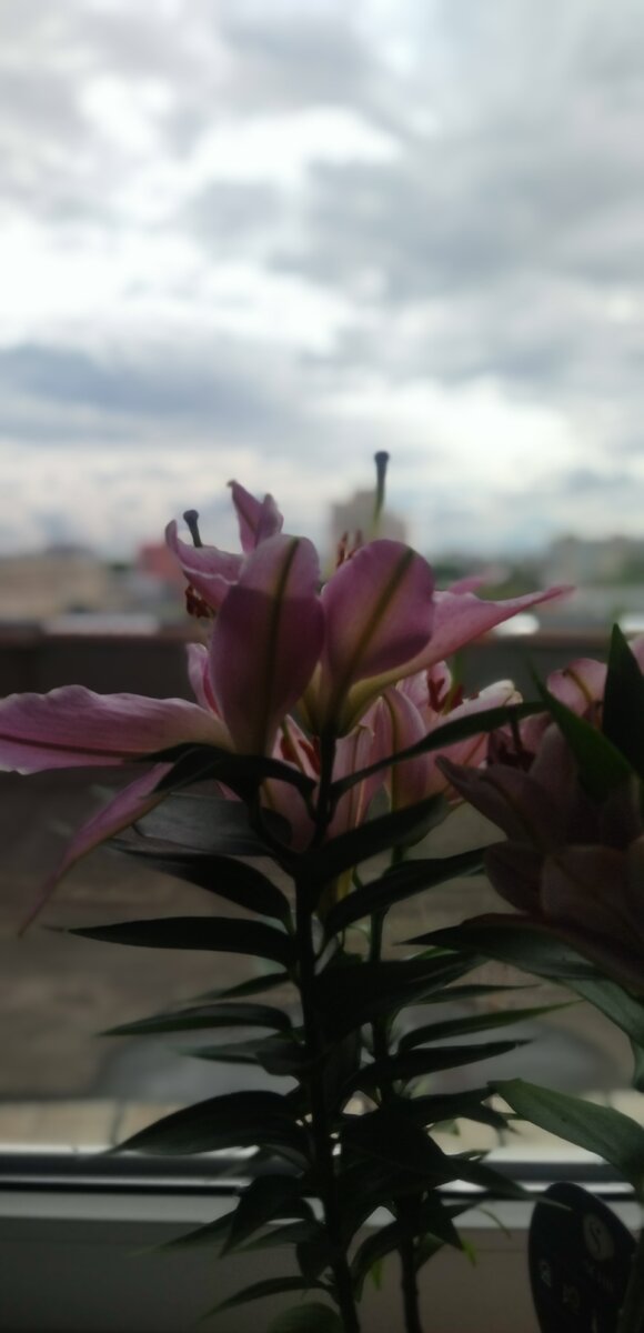 Картинка не в тему, но пусть будет) 