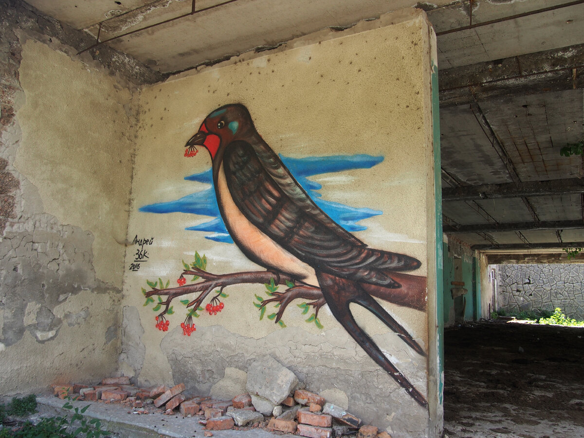 Граффити, снятое в Абхазии в 2019 году