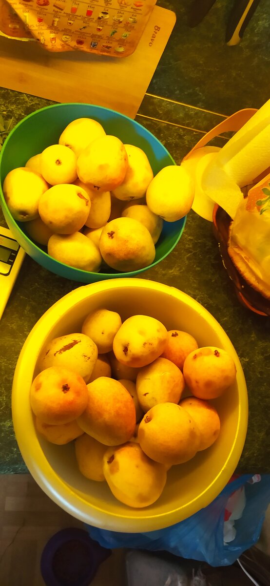 Груша домашняя