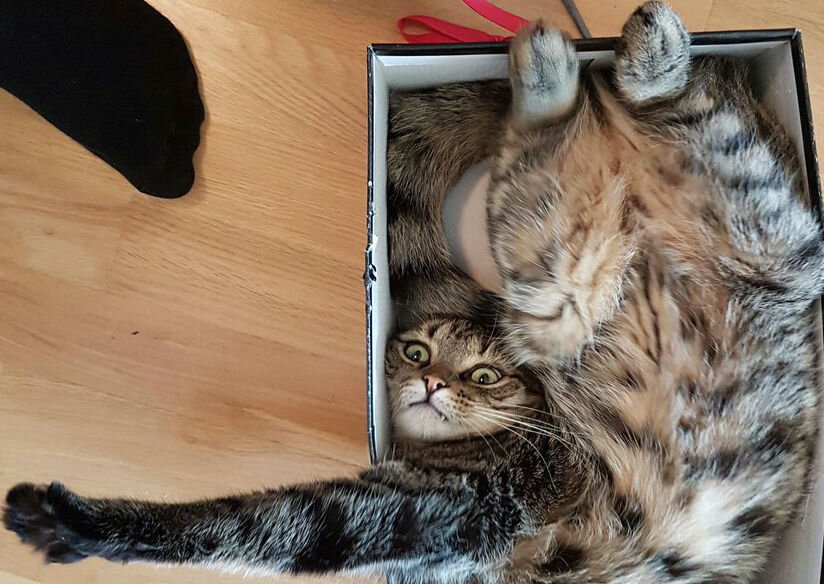 Источник фото: https://www.google.ru