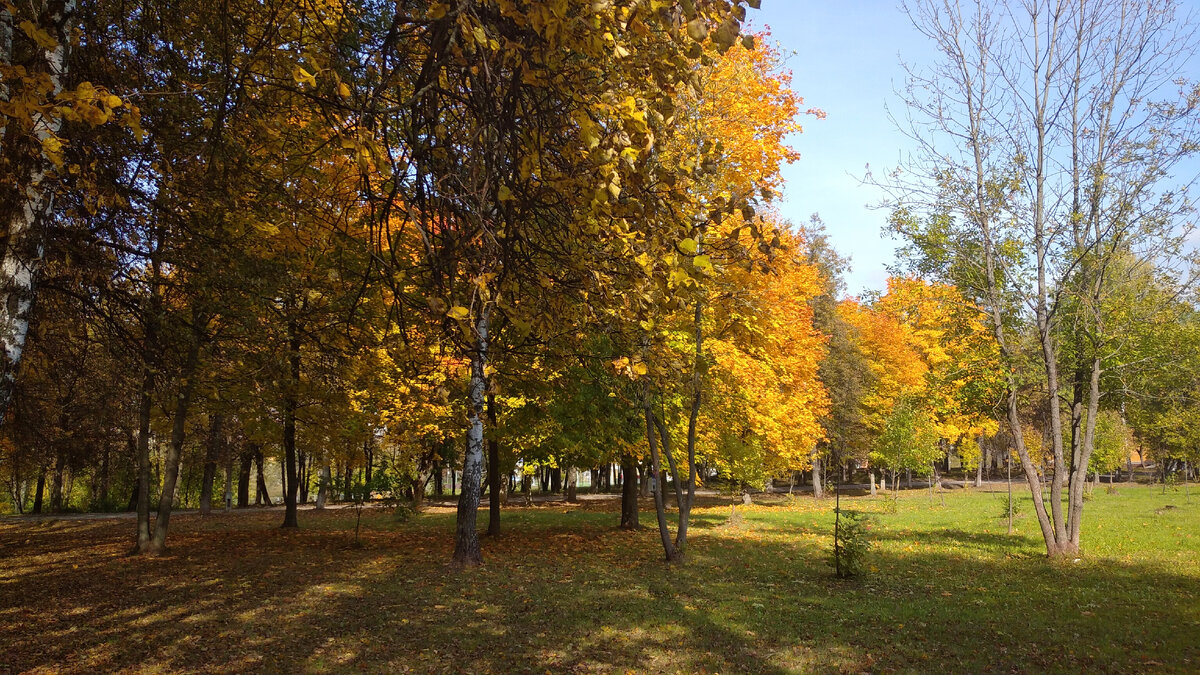 Личное фото.  