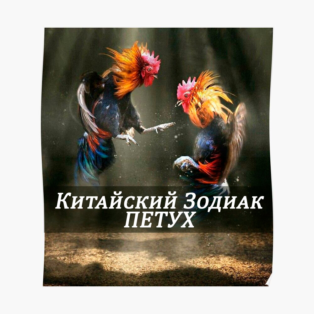 КИТАЙСКИЙ ГОРОСКОП Петуха 