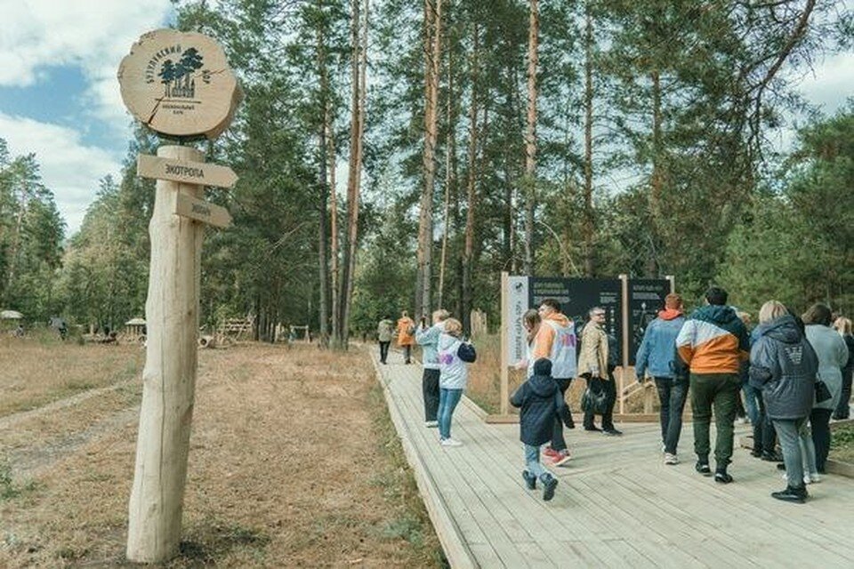     Фото: Национальный парк «Бузулукский бор»