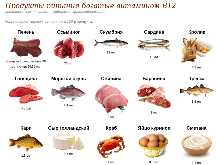 Источники витамина b12