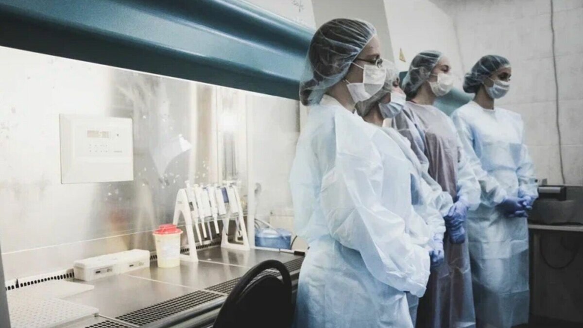     В городской клинической больнице № 7 в Казани прокомментировали инициативу присвоения ей имени бывшего руководителя Марата Садыкова. О предложении депутата Госдумы РФ Татьяны Ларионовой Inkazan сообщили в пресс-службе медучреждения.