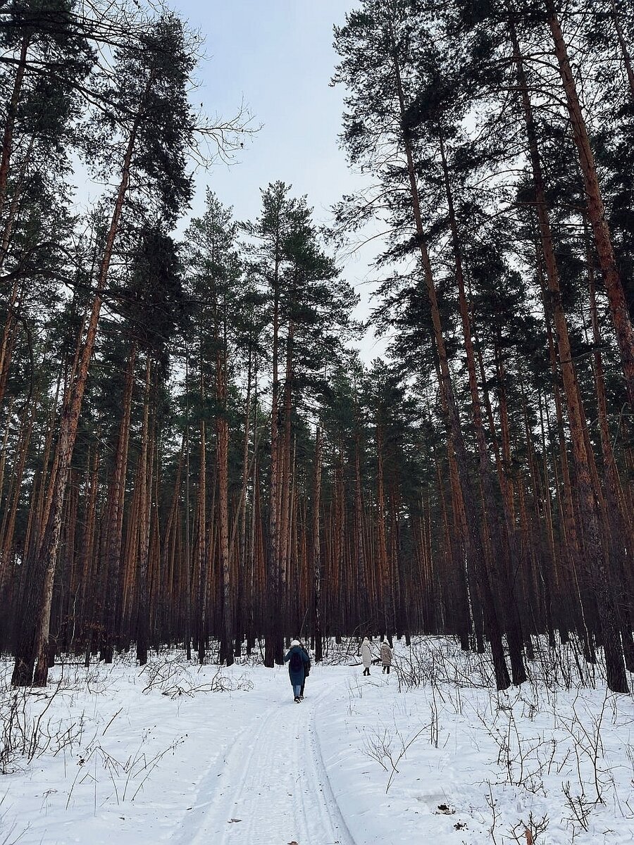 Муранский бор муранка. Муранский Бор турбаза. Муранский Бор Самара. Муранский Бор Уса.