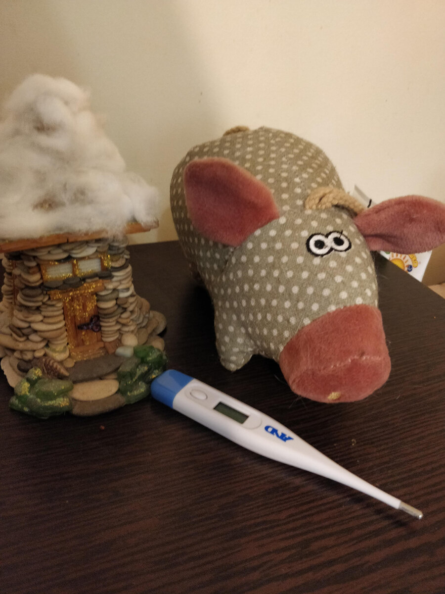 Врач рассказал, чего боится свиной грипп | Гороскопы от Эрешгюль | Дзен